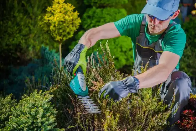 landscaping services Ryland Heights